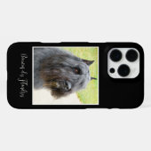 Bouvier des Flandres Photo iPhone Hoesje (Achterkant horizontaal)