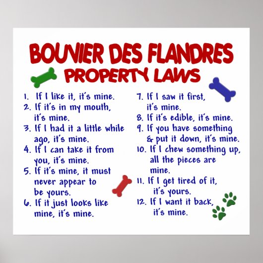 BOUVIER DES FLANDRES PL2 POSTER (Voorkant)