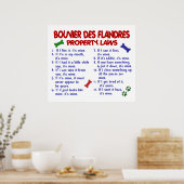 BOUVIER DES FLANDRES PL2 POSTER (Keuken)