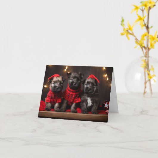 Bouvier des Flandres Puppies Kerst Kaart (Gele Bloem)