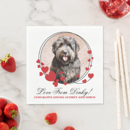 Bouvier des Flandres Rode Hart Krans Honden Foto Servet