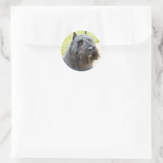 Bouvier des Flandres Ronde Sticker (Tas)