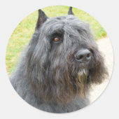 Bouvier des Flandres Ronde Sticker (Voorkant)