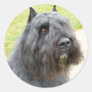 Bouvier des Flandres Ronde Sticker