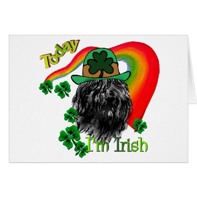 Bouvier des Flandres St Patricks (Voorkant Horizontaal)