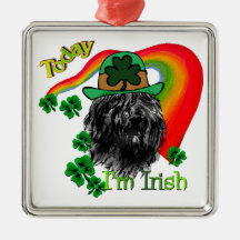 Bouvier des Flandres St Patricks