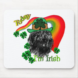 Bouvier des Flandres St Patricks Muismat