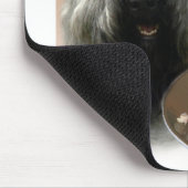 Bouvier des Flandres Turkije Muismat (Hoek)