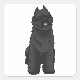 Bouvier des Flandres Vierkante Sticker