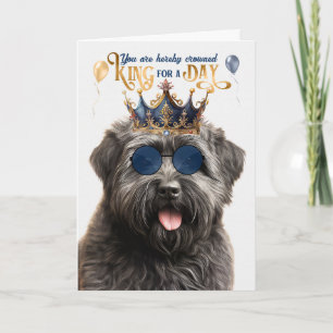Bouvier Dog King voor een Dag Grappige Verjaardag Kaart