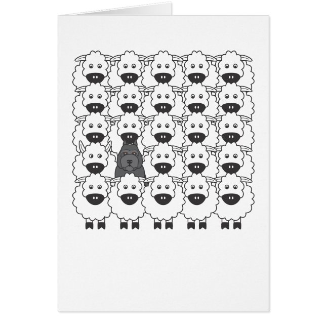 Bouvier in de Sheep (Voorkant)