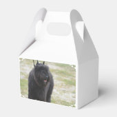 Bouviers des Flanders Bedankdoosjes (Achterkant)