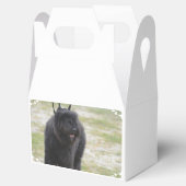 Bouviers des Flanders Bedankdoosjes (Geopend)