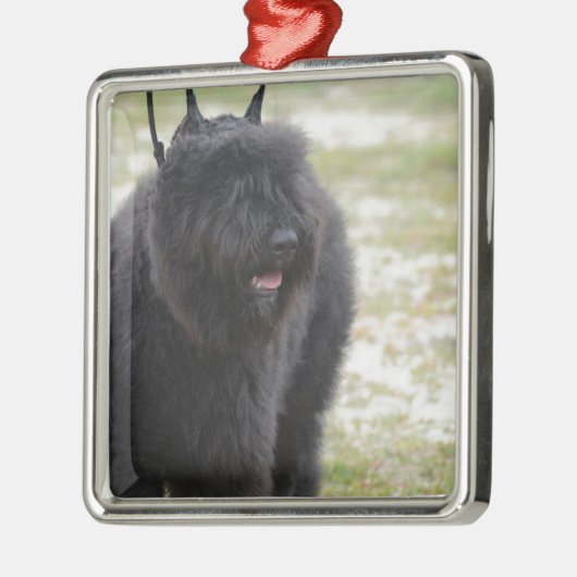 Bouviers des Flanders Metalen Ornament (Links)