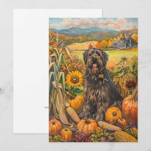 Bouviers des Flandre Herfst Oogst Thanksgiving Feestdagenkaart (Voorkant / Achterkant)