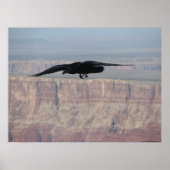 Boven alles poster (Voorkant)