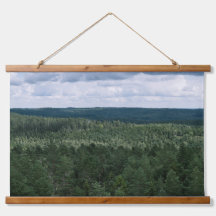 Boven De Bomen Bos En Wolken Landschapsfoto