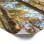 Boven de bomen – Vredig natuur landschap Poster (Hoek)