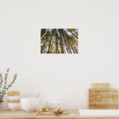 Boven de bomen – Vredig natuur landschap Poster (Keuken)