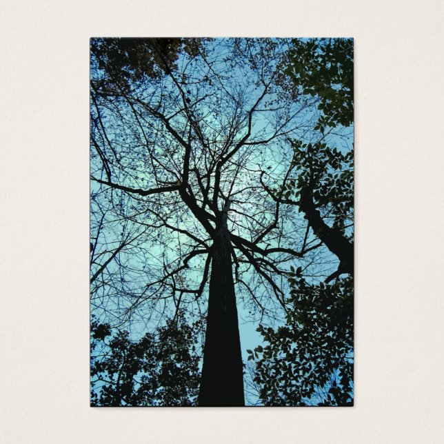 Boven de boom ATC Visitekaartjes (Voorkant)