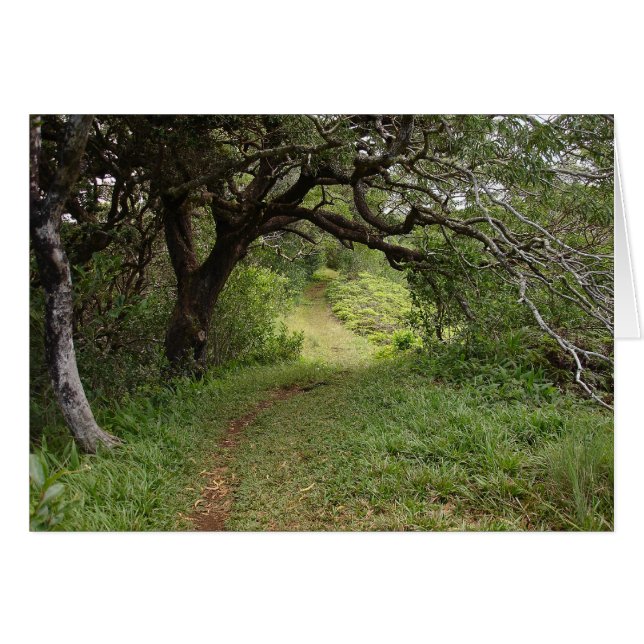 Boven de Manoa-vallei (Voorkant Horizontaal)