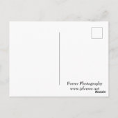 Boven de Mississippi en dam in Alma Briefkaart (Achterkant)