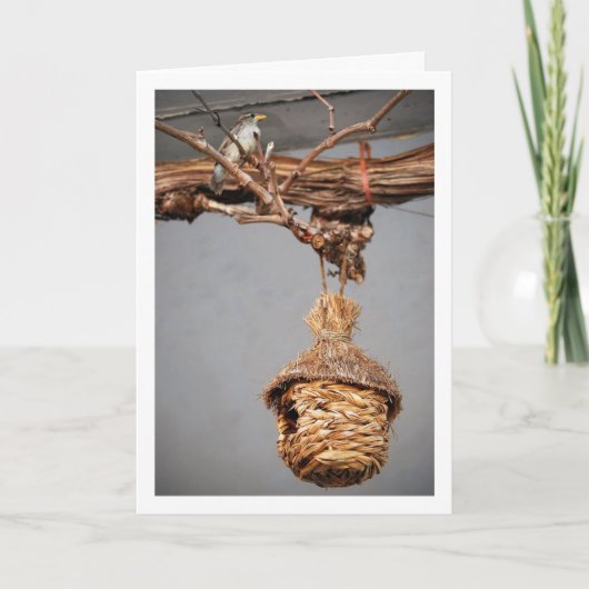 Boven de vogelstand kaart (Voorkant)