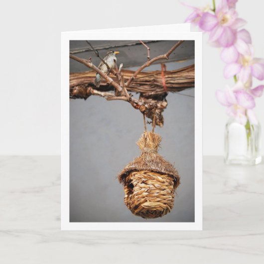 Boven de vogelstand kaart (Orchidee)