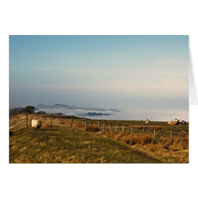 Boven de wolken (Voorkant Horizontaal)