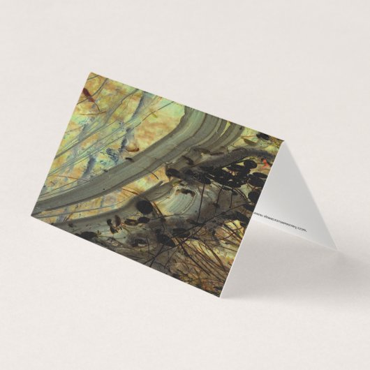 "Boven een Beaver Dam II", krap verstevigd geluid Kaart (Voorkant)