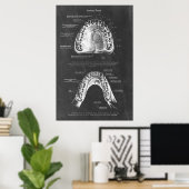 Boven- en onderkaak anatomie tandheelkundige kunst poster (Thuiskantoor)