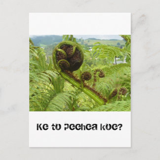 Boven het bladerdak: Kiwiana Briefkaart