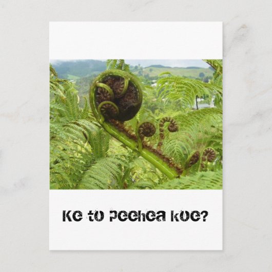 Boven het bladerdak: Kiwiana Briefkaart (Voorkant)