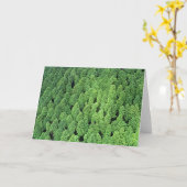 Boven het Bos Kaart (Gele Bloem)