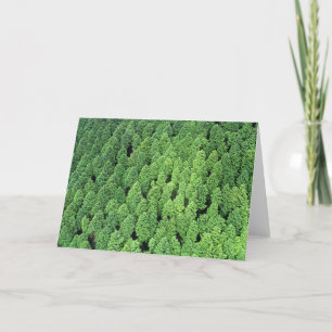 Boven het Bos Kaart