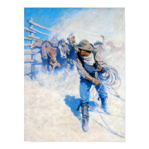 Boven het Zee van de ronde