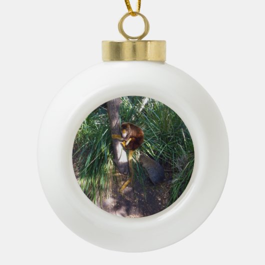Boven in bomen: een Australische boomkangoeroe kli Keramische Bal Ornament (Voorkant)