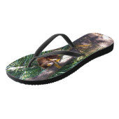 Boven in bomen: een Australische boomkangoeroe kli Teenslippers (Schuin)