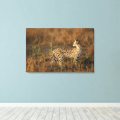 Boven Mara, Masai Mara Game Reserve, Kenia, Canvas Afdruk (Insitu (Houten vloer))