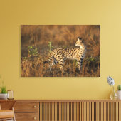 Boven Mara, Masai Mara Game Reserve, Kenia, Canvas Afdruk (Insitu (Woonkamer))
