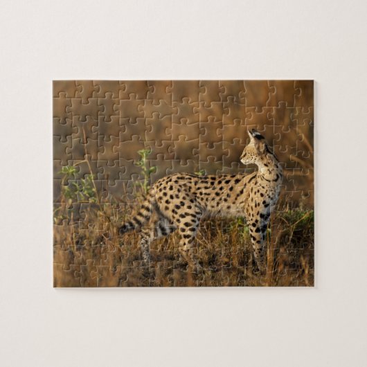 Boven Mara, Masai Mara Game Reserve, Kenia, Legpuzzel (Horizontaal)