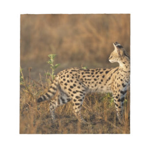 Boven Mara, Masai Mara Game Reserve, Kenia, Notitieblok
