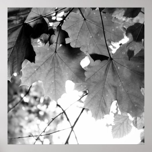 boven poster (Voorkant)