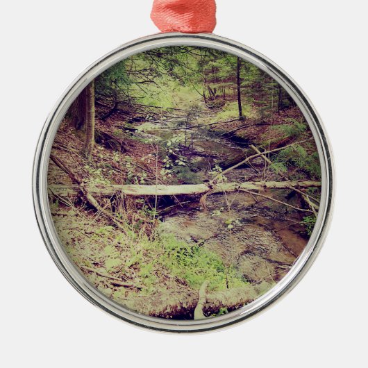 Boven schiereiland Creek Metalen Ornament (Voorkant)