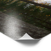 Boven Tahquamenon Herfsten, Autumn, Michigan Foto Afdruk (Hoek)