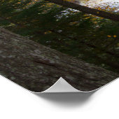 Boven Tahquamenon Herfsten, Autumn, Michigan Poster (Hoek)