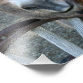 Boven wagon 8x10 foto afdruk (Hoek)