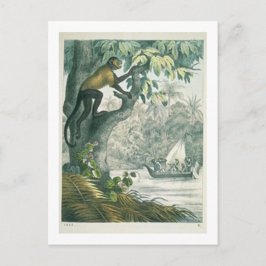 Bovenaan de Amazone, van 'Das Buch der We' Briefkaart (Voorkant)