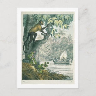 Bovenaan de Amazone, van 'Das Buch der We' Briefkaart