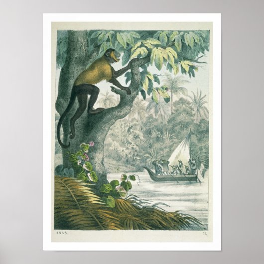Bovenaan de Amazone, van 'Das Buch der We' Poster (Voorkant)